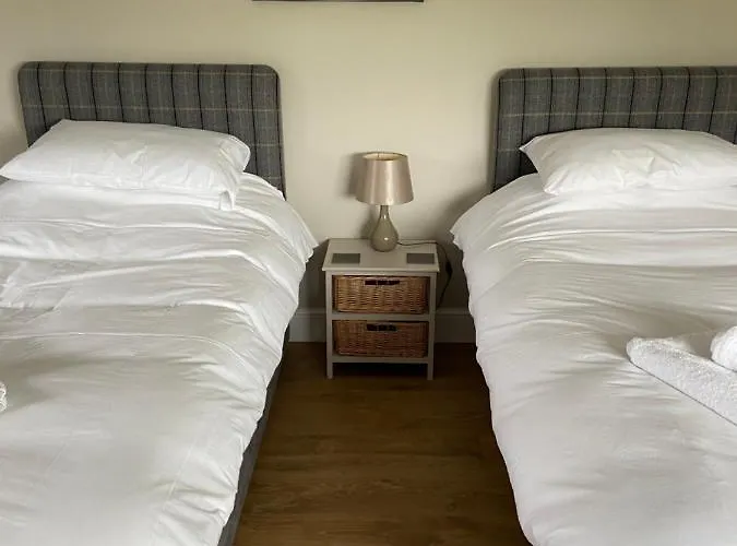 Konukevi Linden Tree